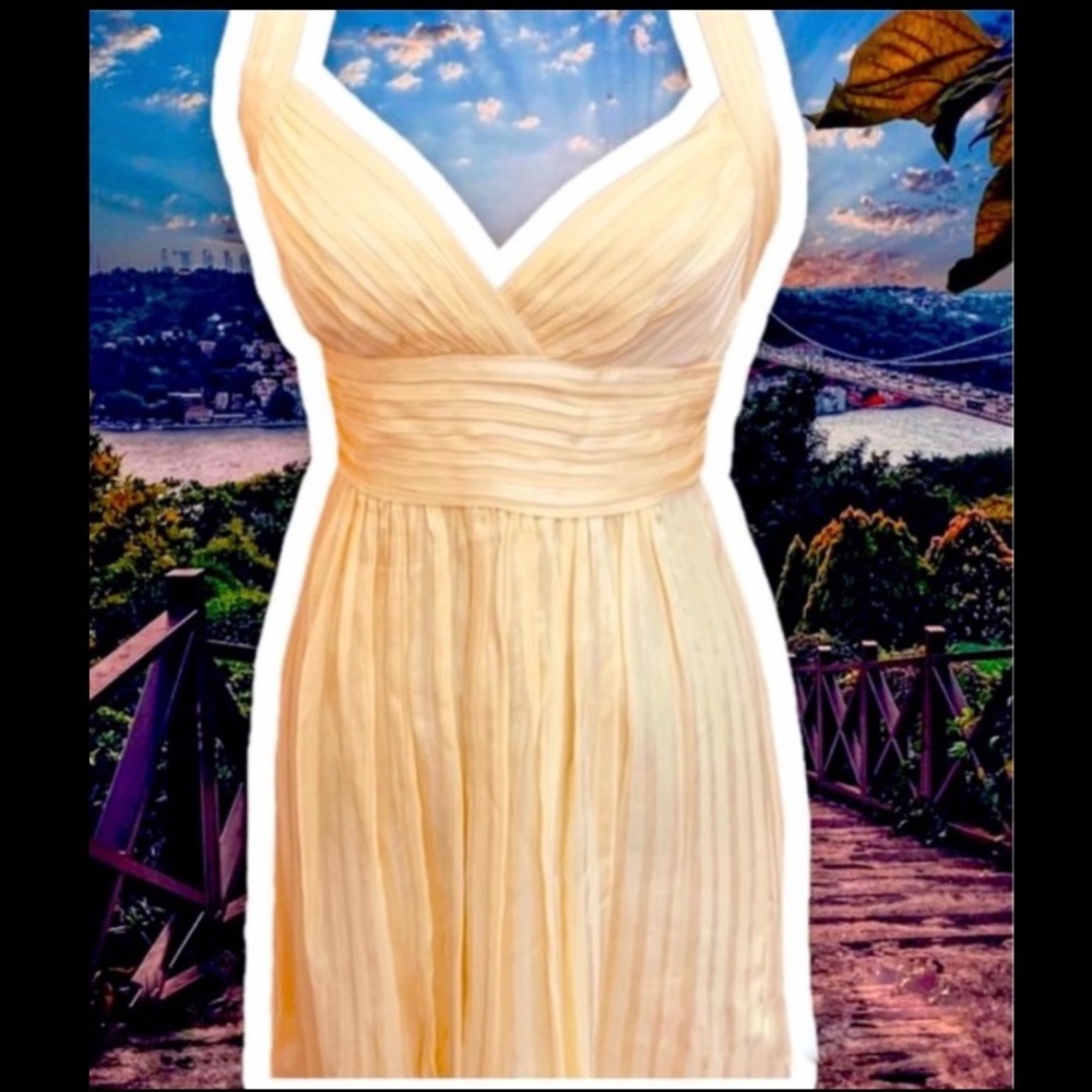 BCBG Max Azria yellow silk dress sz 4
